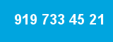 919 733 45 21 919 733 45 21